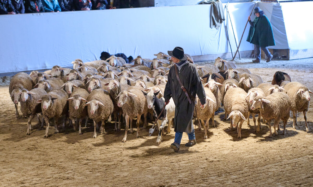 Lebende_Bilder_Marbach_17_12_2023_Schanz_060