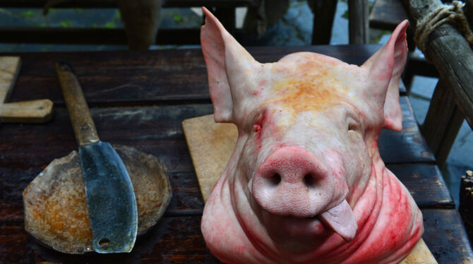 Da läuft einem doch das Wasser im Mund zusammen.