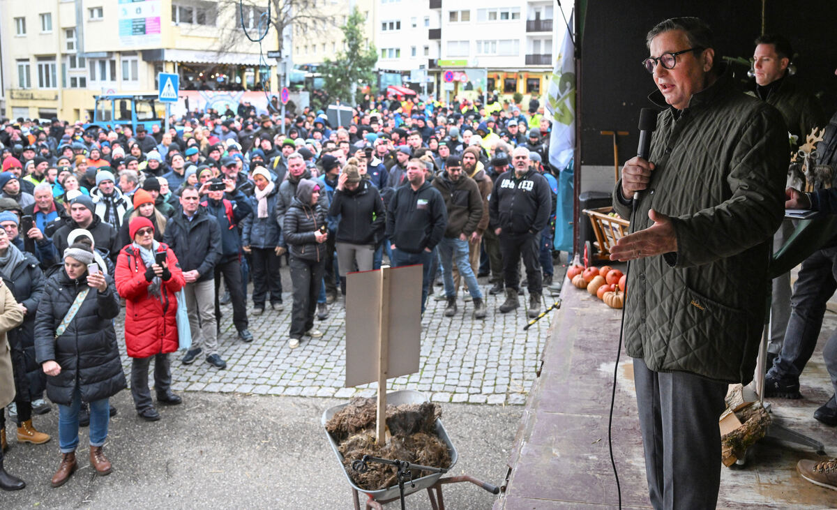 Traktoren_Demo_gegen_80445014