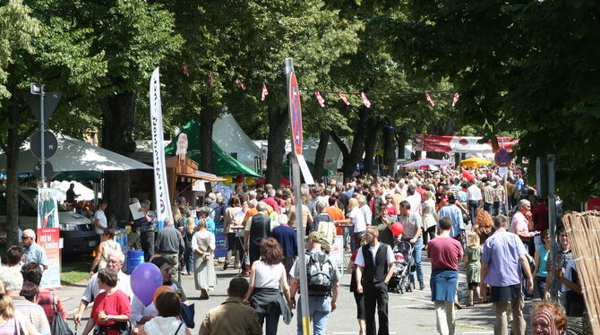 So schön soll es wieder beim nächsten Neigschmeckt-Regionalmarkt am 21. Juli 2024 werden.  FOTOS: ZENKE/PRIVAT