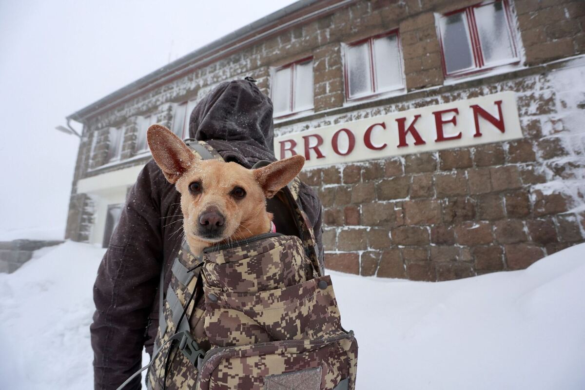 Winterspaziergang Winterspaziergang