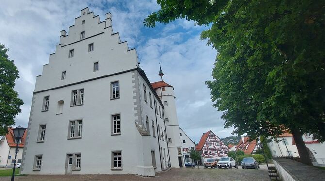 Das Schloss in Trochtelfingen steht nach dem Auszug der Grundschule leer. Die weitere Nutzung des Gebäudes und weitere Liegensch Das Schloss in Trochtelfingen steht nach dem Auszug der Grundschule leer. Die weitere Nutzung des Gebäudes und weitere Liegensch