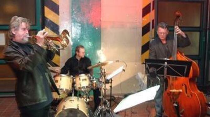Mit Swing unterhielt bei der Kulturnacht das Guido-Deimel-Trio.
FOTO: JOBA Mit Swing unterhielt bei der Kulturnacht das Guido-Deimel-Trio.
FOTO: JOBA