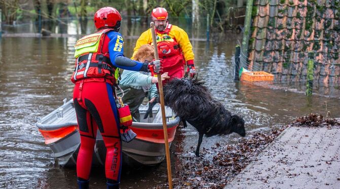Heidschnucken-Rettung