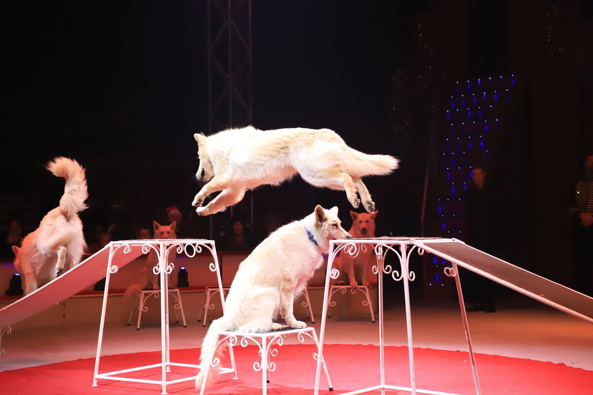 Weihnachtszirkus_RT_Spende__11