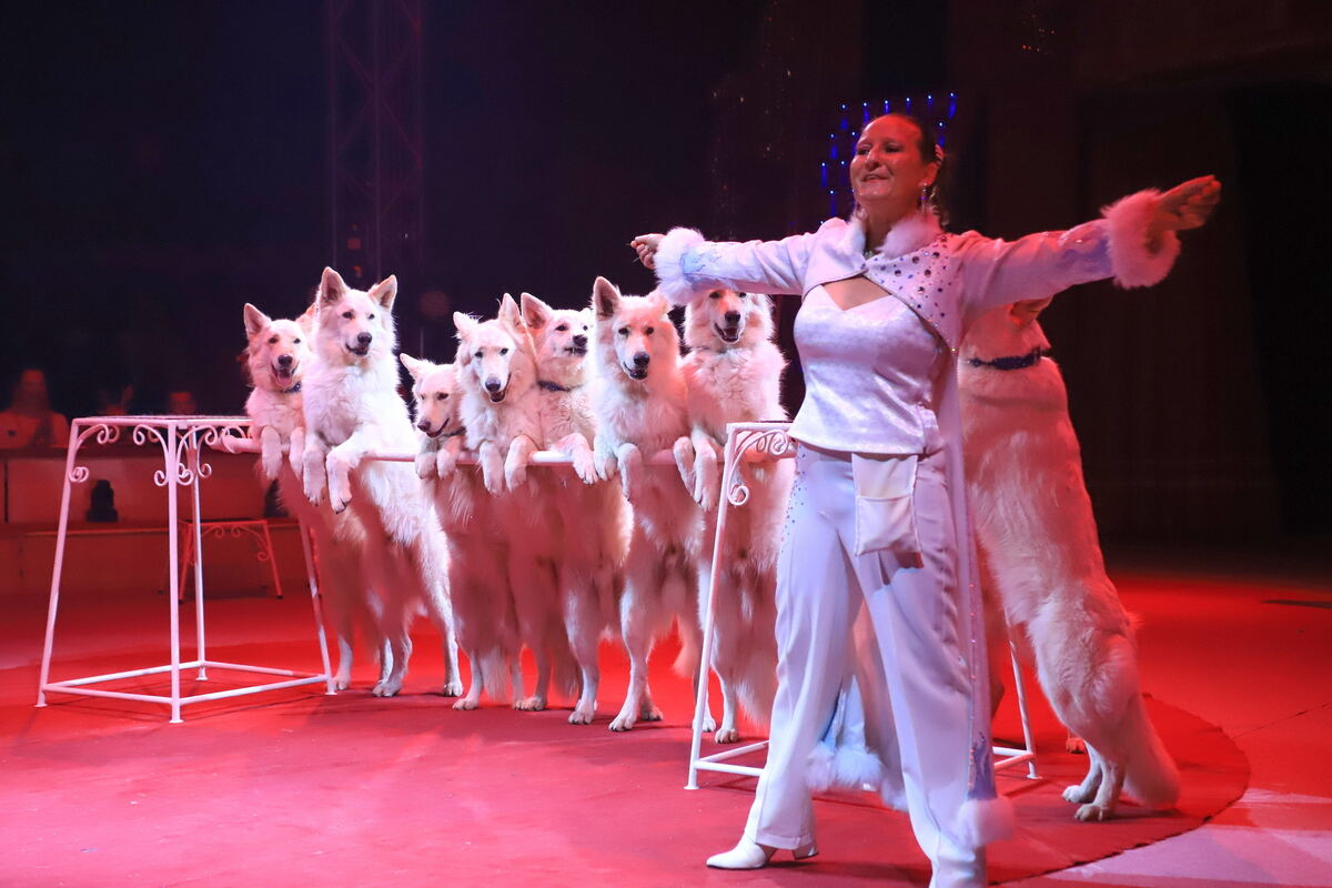 Weihnachtszirkus_RT_Spende__12