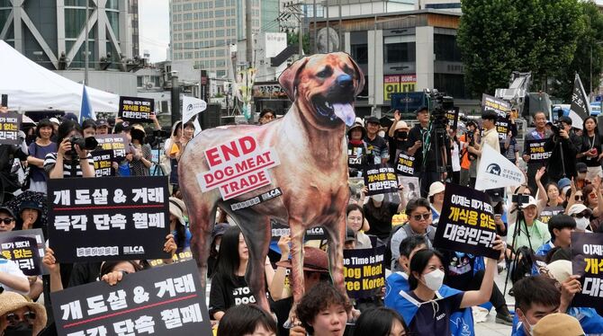 Südkorea will Verzehr von Hundefleisch ein Ende setzen