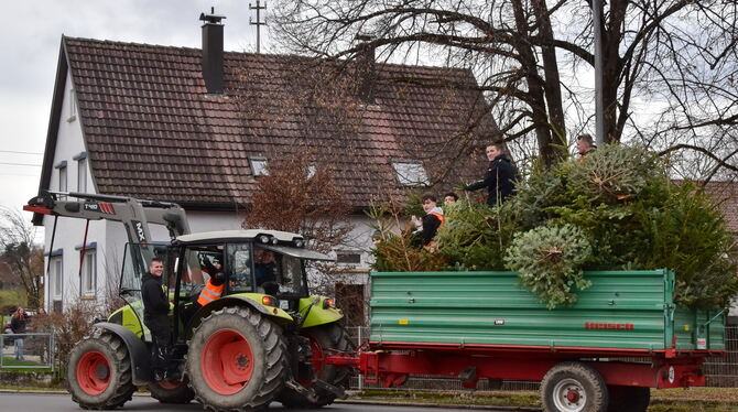 Am Samstag ist es wieder so weit: Ausgediente Christbäume werden eingesammelt. Hier war der CVJM in Belsen unterwegs.  FOTO: MEY