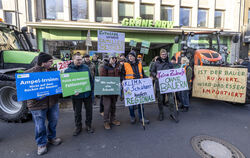 Landwirte demonstrieren vor der Parteizentrale der Grünen in Düsseldorf gegen die Sparpläne der Bundesregierung.  FOTO: REICHWEI