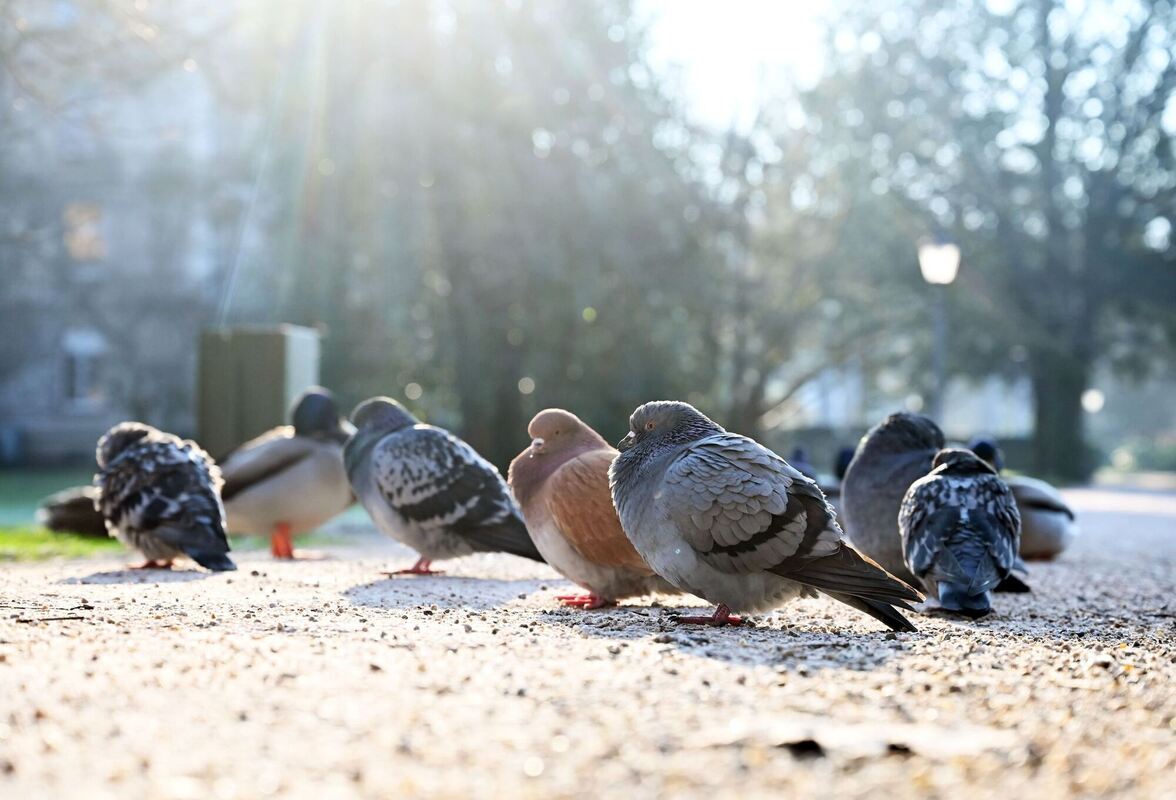 Klirrende Kälte Klirrende Kälte
