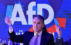 Längst geben völkische Nationalisten wie der thürinische AfD-Landeschef Björn Höcke den Ton in der Partei an. Sie träumen von ei