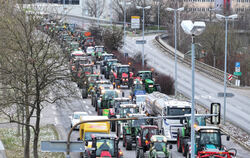 Als Antwort auf die Sparpläne der Bundesregierung protestieren die Bauern diese Woche.  FOTO: KÄSTLE/DPA
