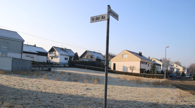 201 Grundstücke in Privatbesitz sind in Metzingen nicht bebaut, ein Zugriff durch die Stadt ist kaum möglich: Das schränkt Metzi