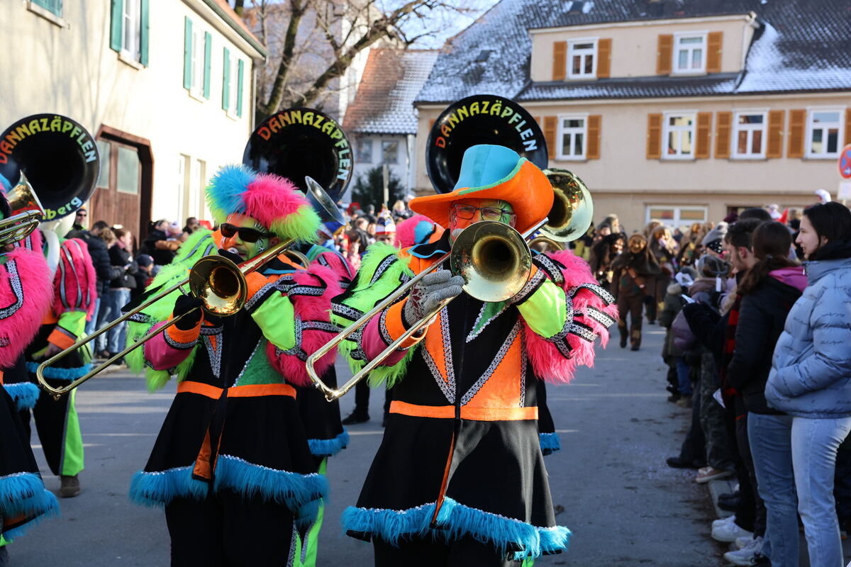 Fasnet_Umzug_Pfulli_2024__35