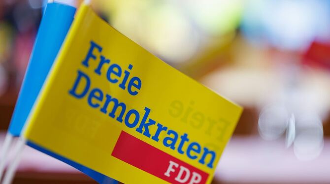 FDP verliert deutlich Mitglieder