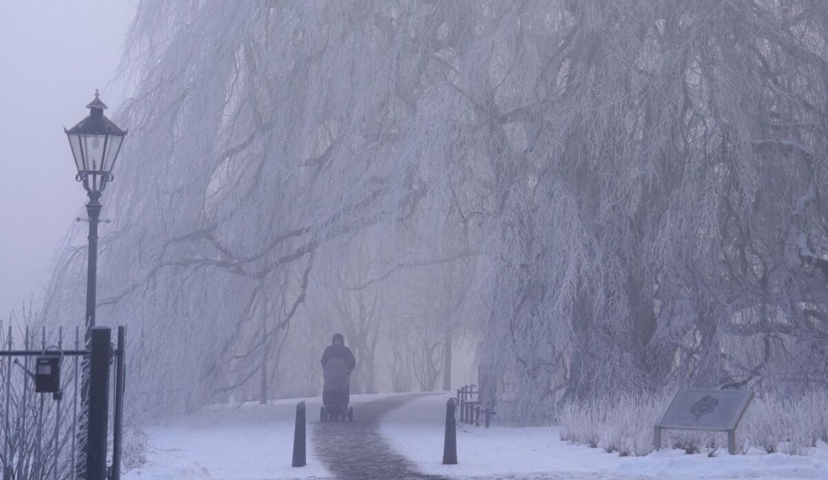 Winterlich Winterlich