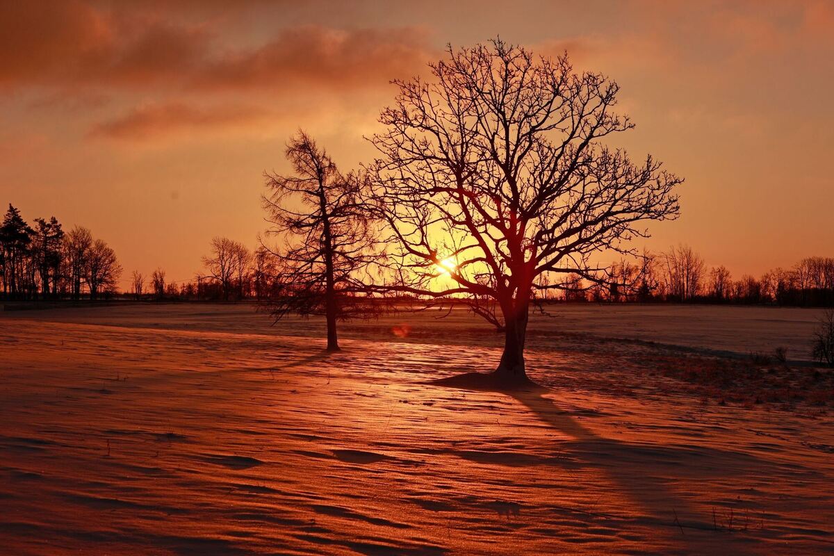 Der Tag beginnt Der Tag beginnt