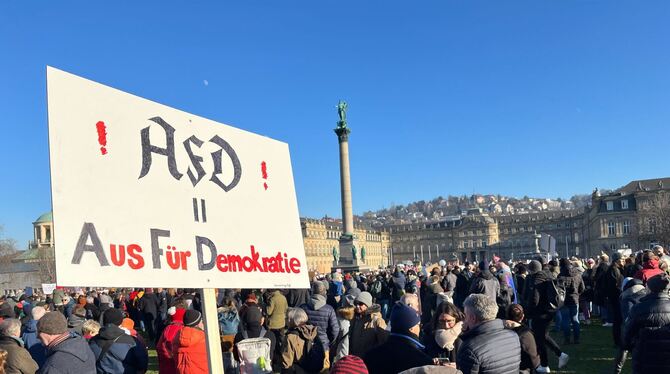 Zahlreiche Menschen, u.a. mit einem Plakat »AFD - Aus Für Demokratie« haben sich auf den Schlossplatz versammelt, um gegen die A