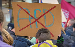 Ein durchgestrichenes AfD-Logo auf einem Schild bei einer Demo gegen Rechts am 20. Januar in  Koblenz (Rheinland-Pfalz).  Mit ei