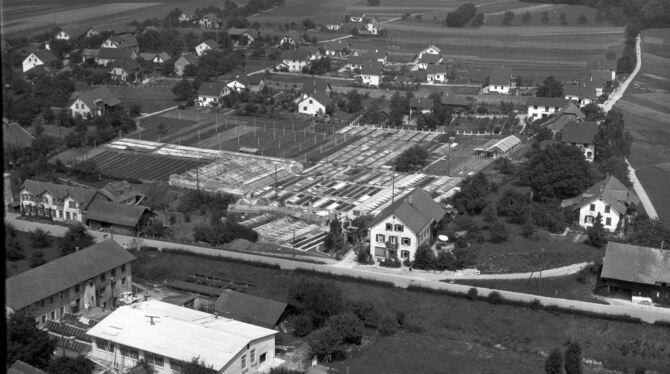 Luftbild aus dem Jahr 1953: Wo mag sich diese Gärtnerei befunden haben oder sogar noch befinden?