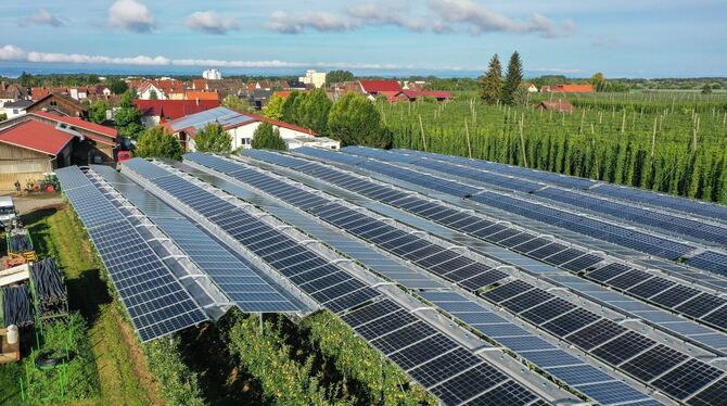 Doppelte Landnutzung und ein Beispiel wie solche Solarparks aussehen können: Eine Agri-Fotovoltaikanlage  überspannt eine Apfelp