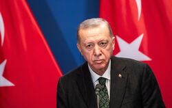 Will der türkische Präsident Recep Tayyip Erdogan die EU von innen heraus spalten? Eine neue Partei in Deutschland sorgt für Spe