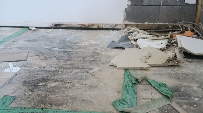 In der Einliegerwohnung im Haus hat sich unter dem fest verbauten Bett Schwarzschimmel gebildet, der gesundheitsgefährdend ist.