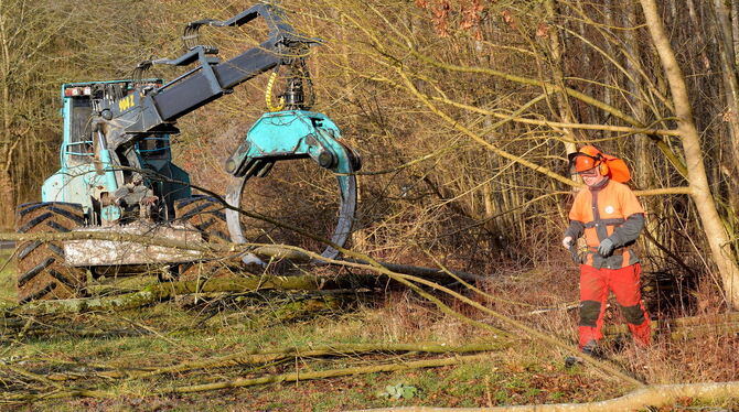 Im Jahr 2019 gab es bereits Baumfällarbeiten entlang des Neckartals bei Pliezhausen, wegen der die B 297 gesperrt werden musste.