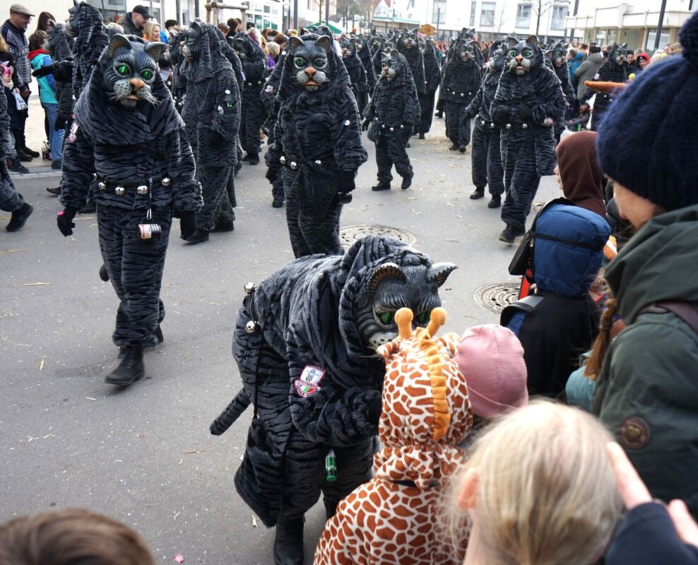 Betzinger Mühlenkatzen