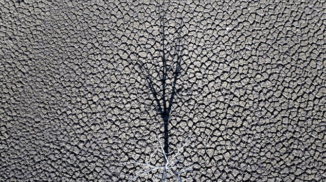 Der Schatten eines toten Baumes auf dem rissigen Boden des Sau-Stausees in Spanien, der nur noch 5 Prozent seines Fassungsvermög