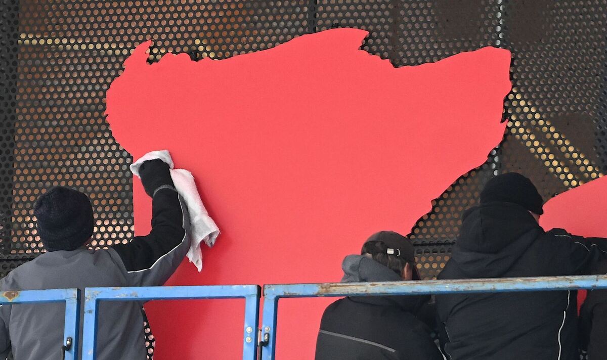 Bären-Montage Bären-Montage