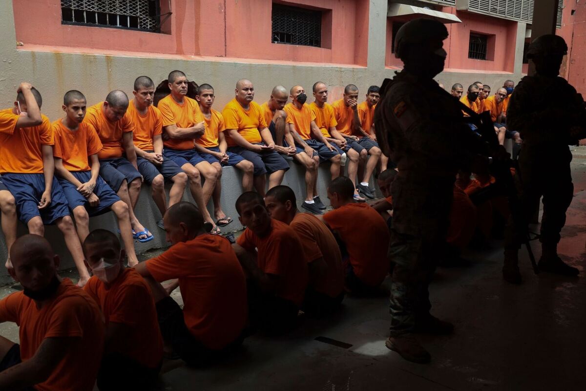 Hinter Gittern Hinter Gittern