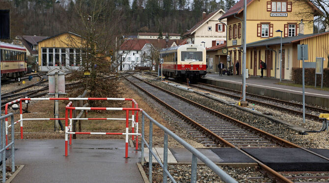 Der Vorfall, der vor Gericht verhandelt wurde, hatte sich im Münsinger Bahnhof bei den Umlaufsperren auf Gleis 2 zugetragen. FOT