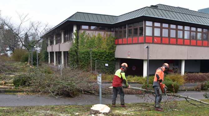Der Rückbau des ehemaligen Kreissparkassen-Gebäudes in Mössingen begann mit Baumfällarbeiten.