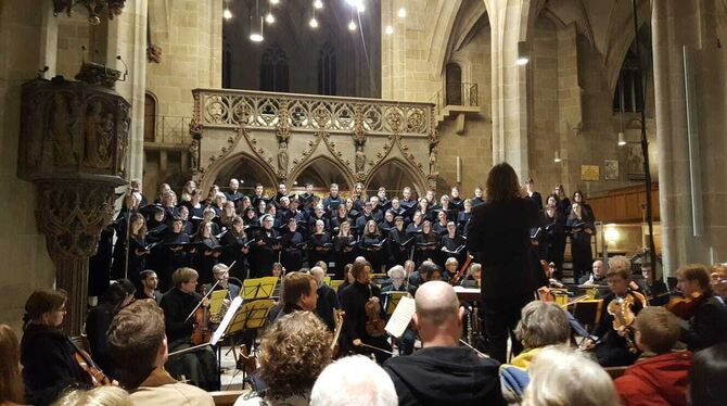 Hohes Durchhaltevermögen: KHG-Chor und Orchester Sinfonia 02 mit Schönberg, Cherubini und Brahms in der Stiftskirche.