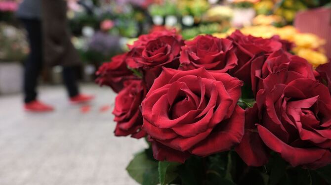 Rosen zum Valentinstag