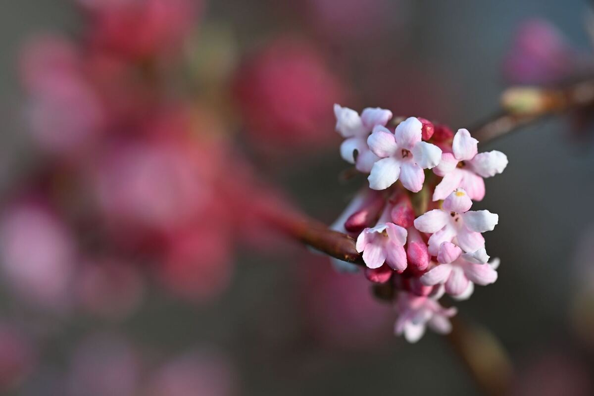 Farbtupfer Farbtupfer