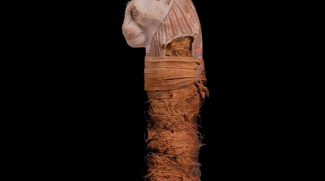 Katzenmumien mit und ohne Maske.  FOTOS: KELLEN/EGYPTIAN MUSEUM ANIMAL MUMMY PROJECT