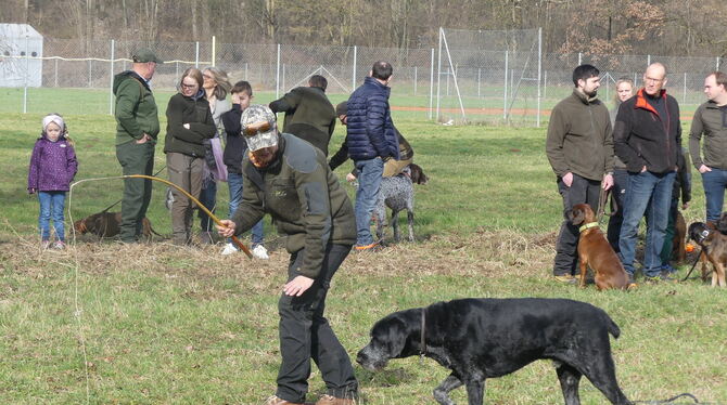 Jagd Obfrau Stephanie Kerger zeigt, wie sich der Hund einem Beutetier annähern kann.