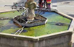 Algen im Maximilianbrunnen: »In keiner anderen vergleichbaren Kommune wird so nachlässig mit historischen Brunnen umgegangen«, b