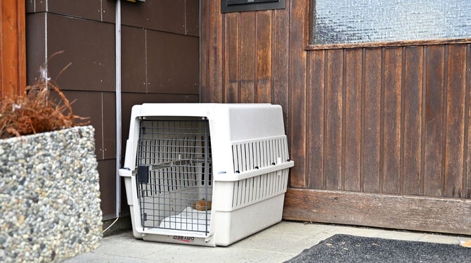 Für lebende Tiere, die aufgefunden wurden, gibt es zusätzlich diese Box.  FOTOS: PIETH