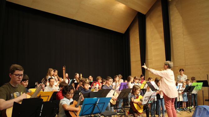 Das Fachbereichskonzert der Musikschule Pliezhausen begeisterte Ende 2023 das Publikum. Immer wieder sprechen Räte darüber, das