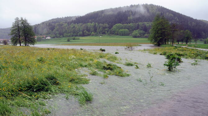 Vom Bach zum Strom: die Erpfmündung beim Hochwasser im Juni 2013. Um solche Szenarien zu verhindern, wird in Erpfingen ein Regen