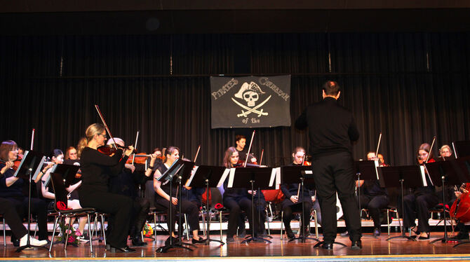 Das Orchester Musikschule Pliezhausen spielte nicht nur hervorragend, sondern bietet jungen Leuten auch die Chance zur musikalis
