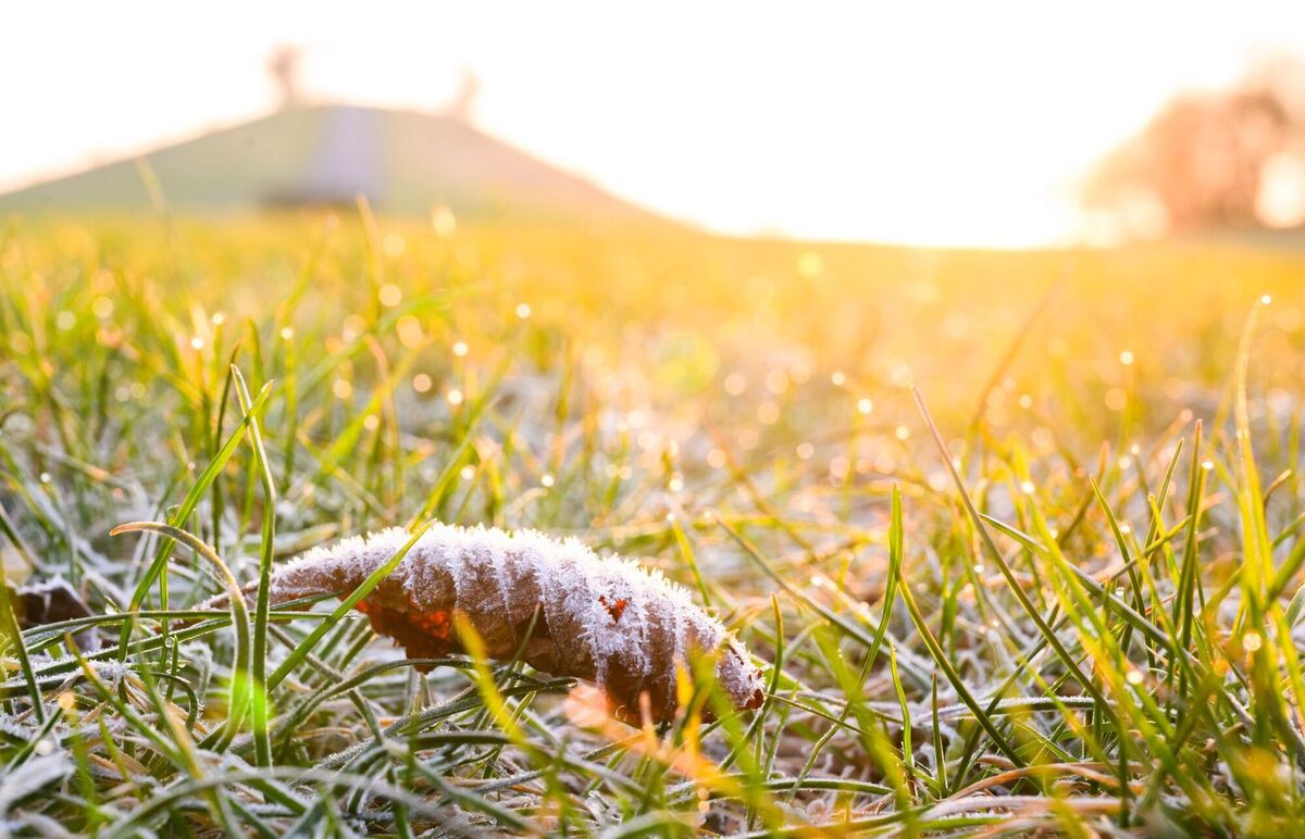 Sonnenaufgang Sonnenaufgang