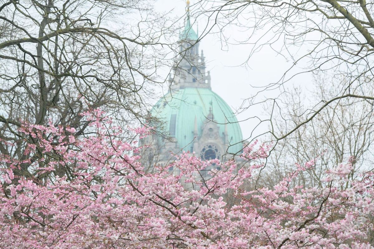 Frühlingshaft Frühlingshaft