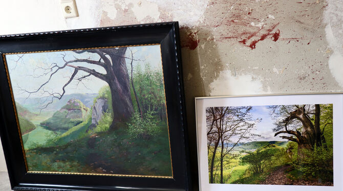 Eine Gegenüberstellung des Gemäldes der Eiche Eppenzill von Jakob Plankenhorn und der Fotografie von Herbert Willershäuser.