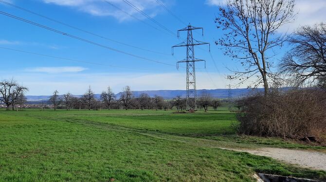 Auch rund elf Hektar dieser Felder bei Walddorfhäslach mit Blick auf die Schwäbische Alb  könnten einmal für  eine Freiflächenph