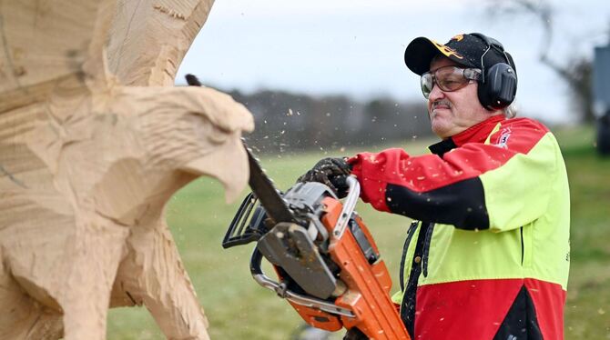 Kettensägen-Holzschnittkünstler Dieter Binder Kettensägen-Holzschnittkünstler Dieter Binder