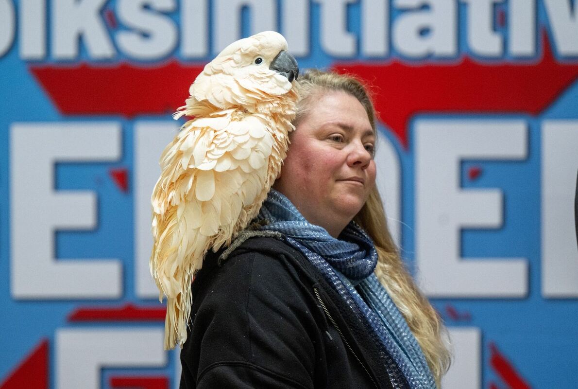 Tierische Begleitung Tierische Begleitung